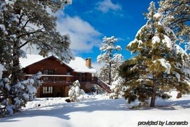 Alpine Hotel